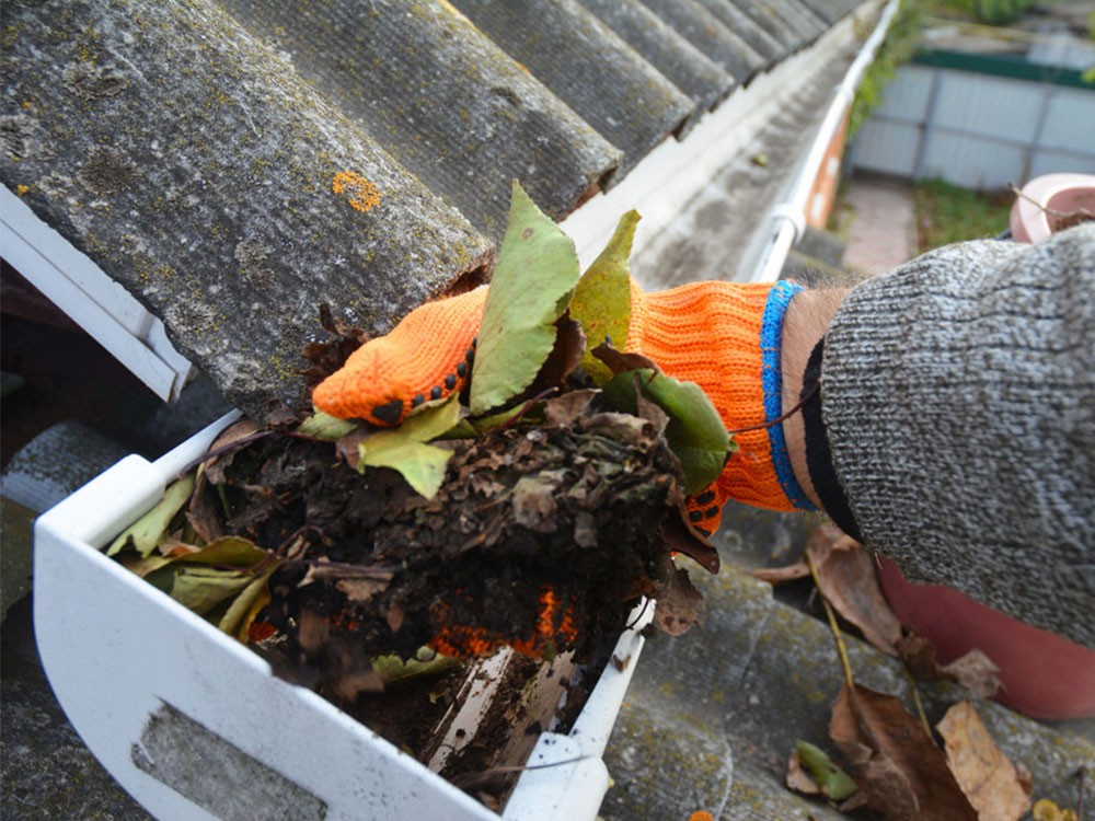 Dirty Gutter